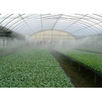 納米二氧化鈦在蔬菜種植上面消除農(nóng)藥殘留的應(yīng)用